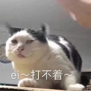 今天我瘦了几斤呢头像