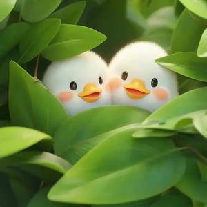 春天里的百灵鸟头像