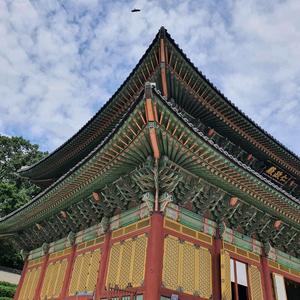 赫儿麻麻在首尔头像