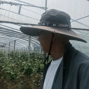凯哥A头像