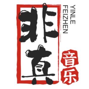 非真音乐头像
