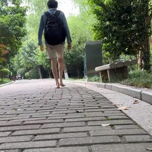 陆臻陆公子头像