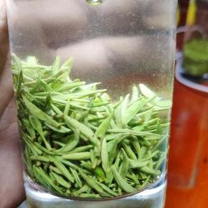 茶农小秦头像