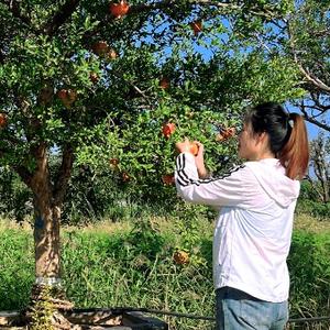 平邑人小娜头像