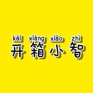 开箱小智头像