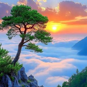 FG大师兄头像