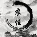 农佳惜风头像
