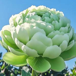 国色天香夜染衣头像