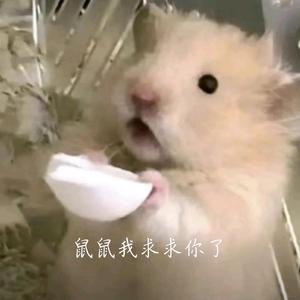 马马麻麻头像
