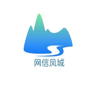 网信凤城头像