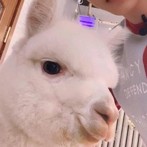 富贵的三百块 头像