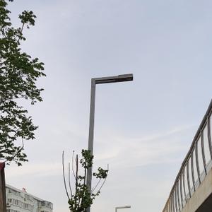 爱冲浪的蜗牛头像