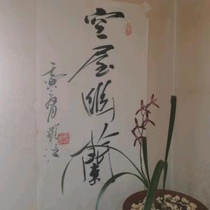 007兰花密码工作室头像
