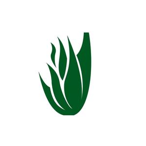 健康联合创业头像
