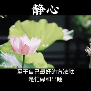 奔跑吧草原狼头像