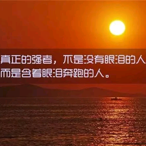 旺旺头像