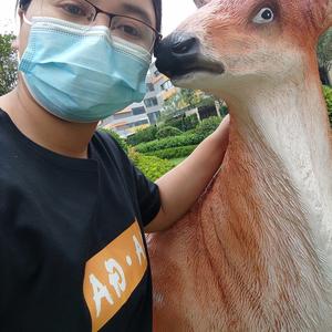 岁月枝桠头像