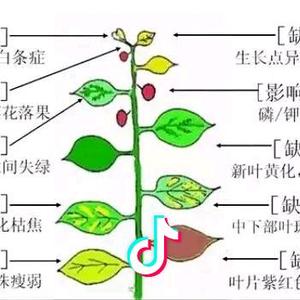 农之友4Y3n头像