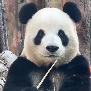 抖抽的网友头像