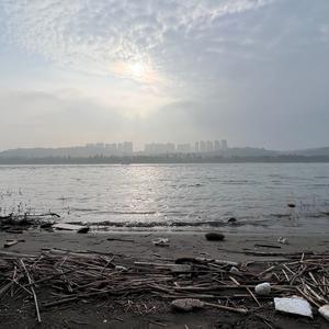 人间凡夫头像
