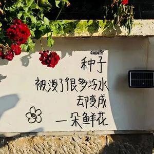 阿杜头像
