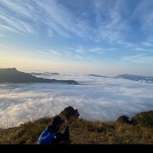 啊泽的出逃日记头像
