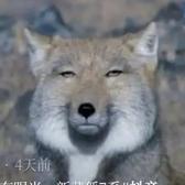 宝马新7系头像