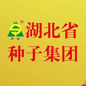 湖北种子集团水稻头像