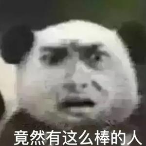 西早乐西头像