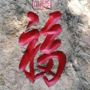 优雅雪碧SAS头像