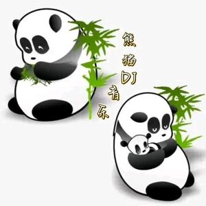 熊猫DJ音乐头像
