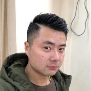 一棵树货运头像
