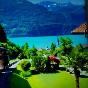 扑闪小星星 头像