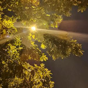 贪睡的小铁匠头像