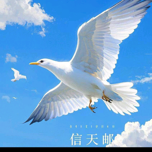 信天邮头像