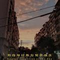 雯雯vlog头像