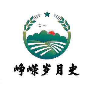 峥嵘岁月史头像