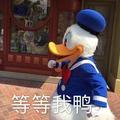 阿卡卡卡905头像