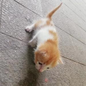 博学的宇宙5966头像