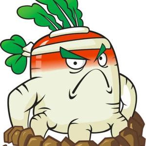 萝卜哥来啦头像