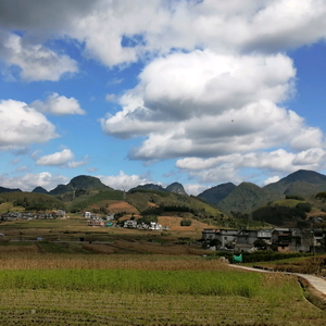 小蓝记录生活头像