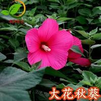 南风向北情头像