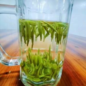 我到这里安居头像