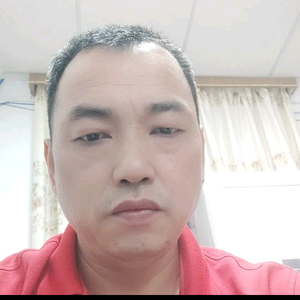 安逸百灵鸟A1头像
