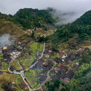走遍仙川头像