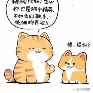 可站在台风眼中的男人头像