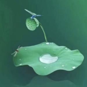 缘来一切如此美好121头像