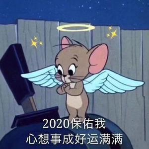 东方的太阳81头像