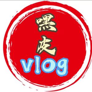 嘿皮happyVLOG头像