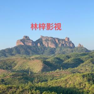 林梓影视解说头像